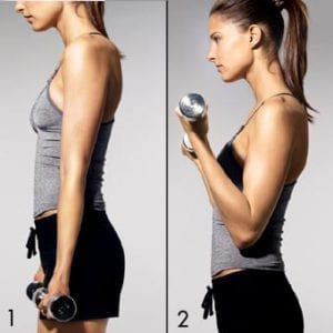 dumbbell bicep curls