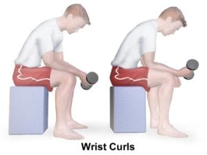 exercise wrist curls