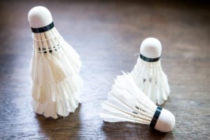 badminton shuttlecocks