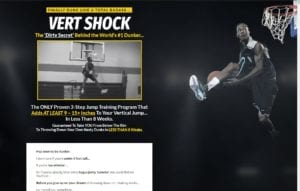 vert shock website